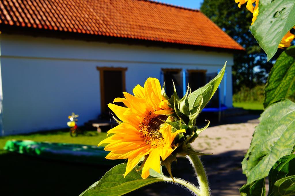 Rybaczowka Luknajno Villa Mikołajki Ngoại thất bức ảnh